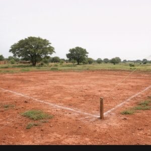 MEGASAVE PARCELLE BAMA 009