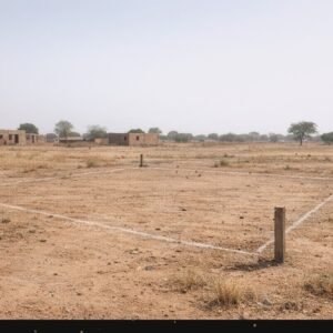 MEGASAVE PARCELLE SECTEUR25 039