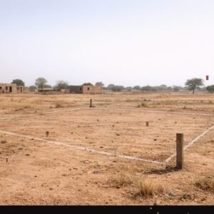 MEGASAVE PARCELLE SECTEUR25 046